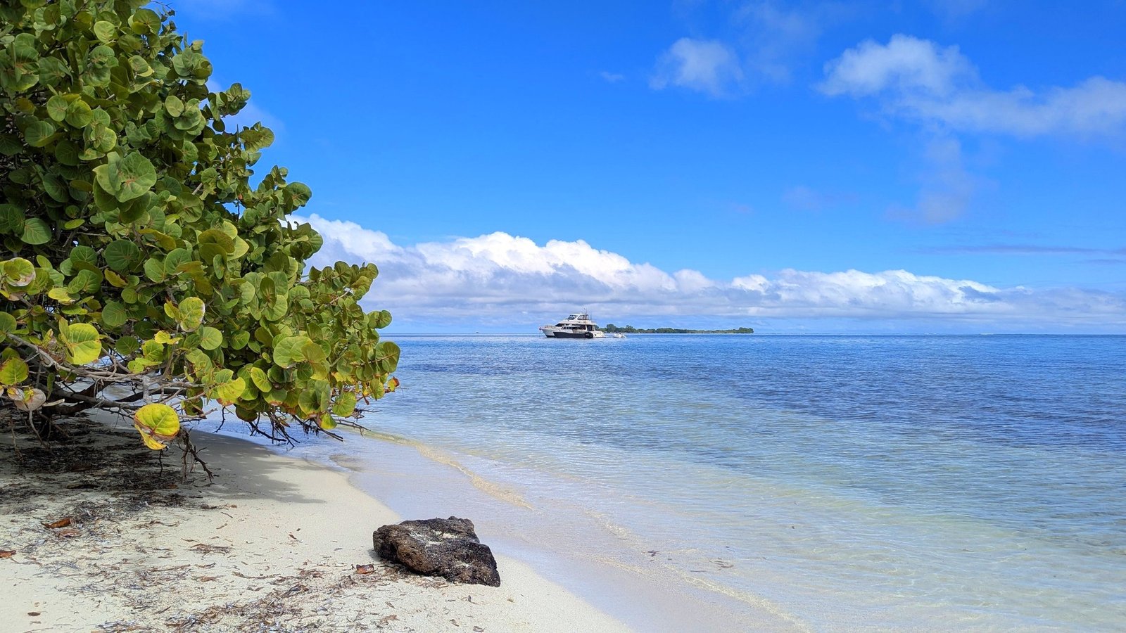 Excursión a los Cayos de Belice