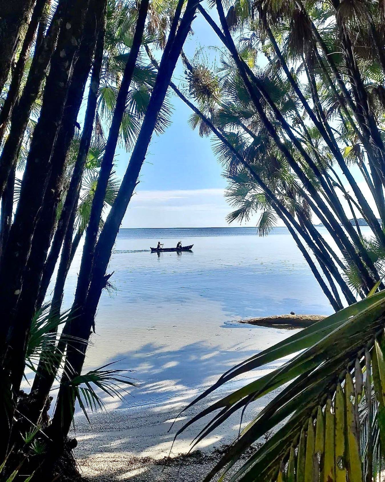 Turistas disfrutando de Playa Blanca Livingston bajo palmeras caribeñas