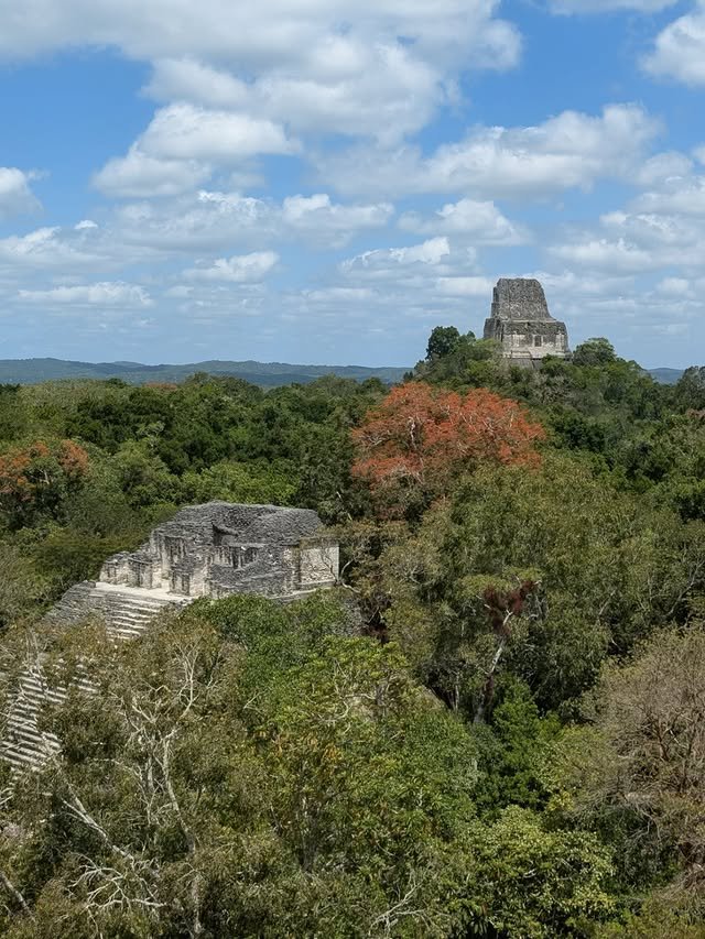 Tikal 1