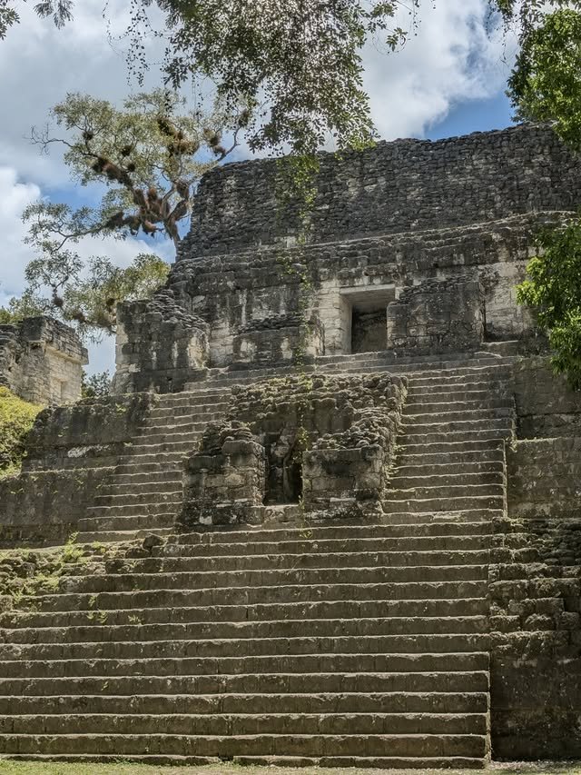 Tikal 2
