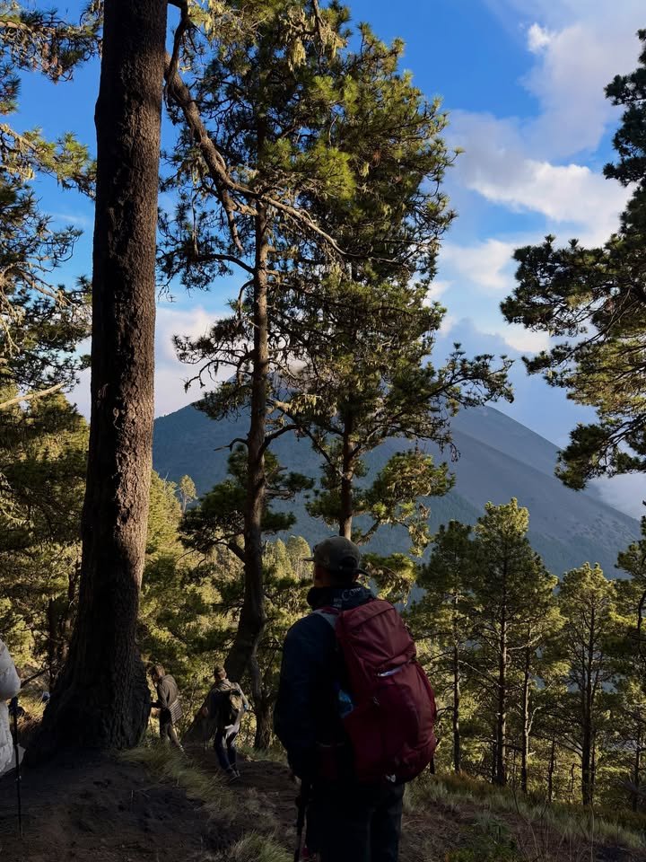 Bosque nuboso en el sendero de ascenso al Acatenango