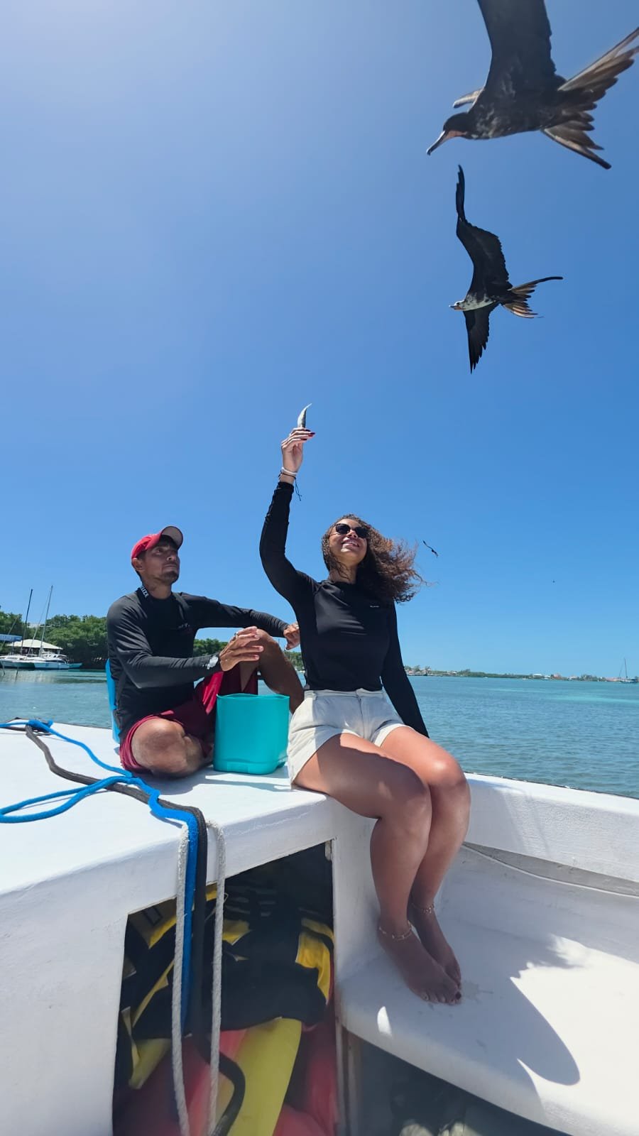 Pareja alimentando aves fragata desde una lancha en Belice