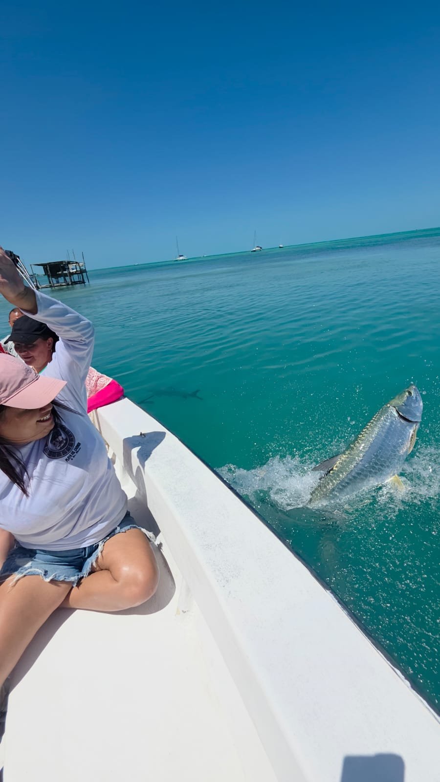 Sabalo (tarpon) saltando junto a la lancha en el Caribe de Belice