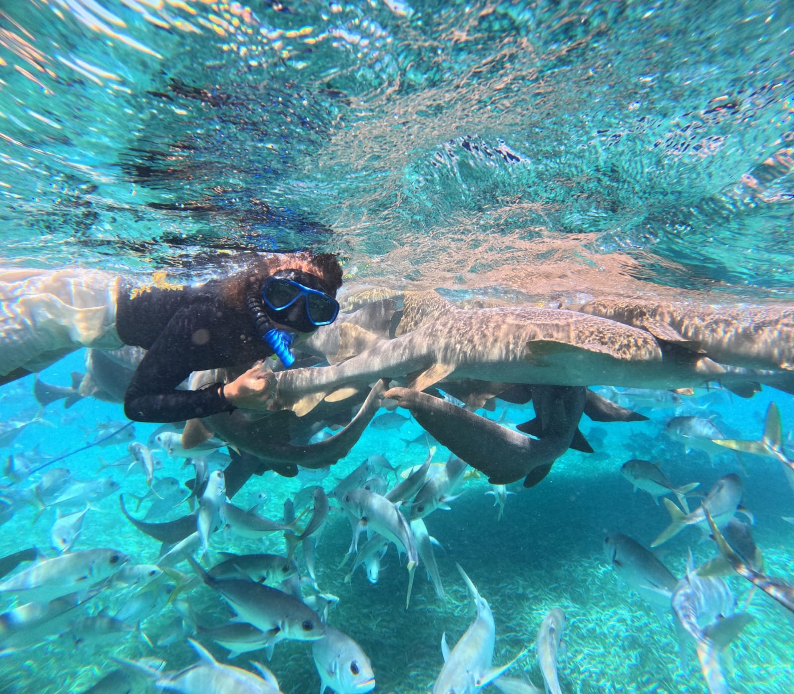 Turistas fotografiando aves fragata desde una lancha en Belice